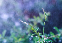 云南昆明市呈贡区一日游农家乐价格实惠环境优雅,昆明呈贡农家乐推荐