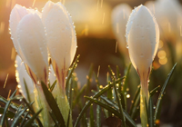 云南曲靖市马龙区可以垂钓好一点的农家乐哪家好耍,曲靖马龙哪里可以野钓