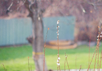 云南昆明市呈贡区好玩民宿价格是多少,云南昆明市呈贡区好玩民宿价格是多少钱